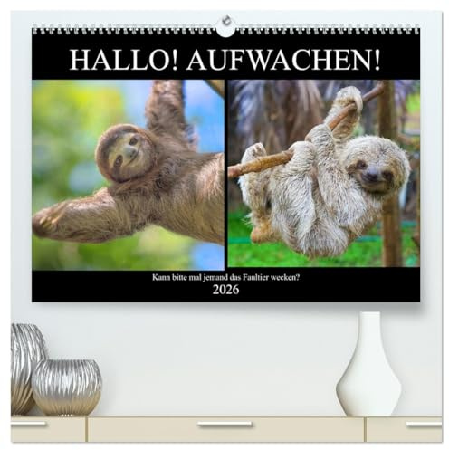 Hallo! Aufwachen! Kann bitte mal jemand das Faultier wecken? (hochwertiger Premium Wandkalender 2026 DIN A2 quer), Kunstdruck in Hochglanz: Abhängen! Das ganzes Leben lang! (CALVENDO Tiere)