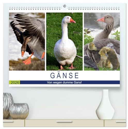 Gänse. Von wegen dumme Gans! (hochwertiger Premium Wandkalender 2026 DIN A2 quer), Kunstdruck in Hochglanz: Kluges und hübsches Federvieh! (CALVENDO Tiere)