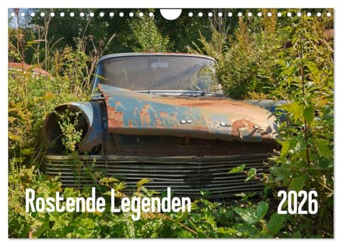 Rostende Legenden (Wandkalender 2026 DIN A4 quer), CALVENDO Monatskalender: Rostende Käfer und T1 Bullis in einem vergessenen Wald (CALVENDO Mobilitaet)