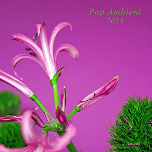 Pop Ambient 2014 / Various