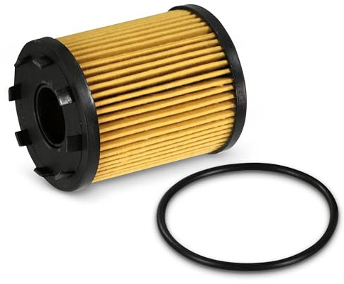 BESTPRICE 1x filtro olio Filtro per cambio olio Compatibile con ABARTH, ALFA ROMEO, FIAT, JEEP, LANCIA, OPEL, SUZUKI