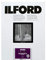 Ilford-Papier, Multigrade, 44 m, Perlen, 10 x 15 cm, 100 Blatt