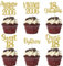 Xsstarmi 24 Pack Gold Sweet 18th Birthday Cupcake Toppers Eighteen 18 Fabulous Vintage 2007 Cupcake Picks for Awesome Since 2007 Cheers to 18th Birthday Wedding Anniversary Party Cake Decorations