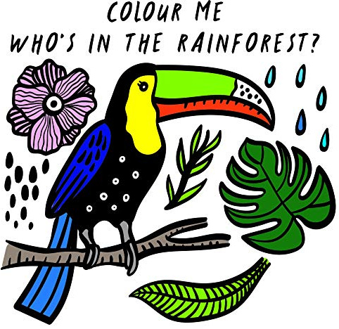 Colour Me: Who’s in the Rainforest?: Watch Me Change Colour In Water: 3 (Wee Gallery Bath Books)