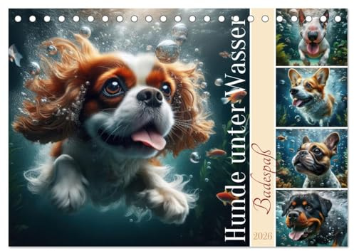 Badespaß - Hunde unter Wasser (Tischkalender 2026 DIN A5 quer), CALVENDO Monatskalender: Lustigste Momente unserer tierischen Freunde im kühlen Nass (CALVENDO Tiere)