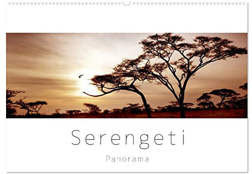 Serengeti Panorama (Wandkalender 2026 DIN A2 quer), CALVENDO Monatskalender: Das endlose Land - die Serengeti. Landschaften und Tiere im Panorama Format (CALVENDO Natur)