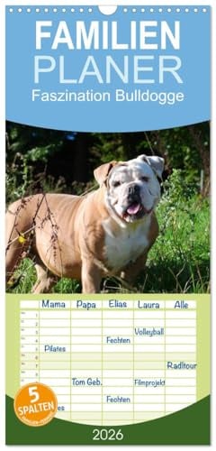 Familienplaner 2026 - Faszination Bulldogge mit 5 Spalten (Wandkalender, 21 cm x 45 cm), CALVENDO: Liebenswerte Muskelpakete mit Charme und Charakter (CALVENDO Tiere)