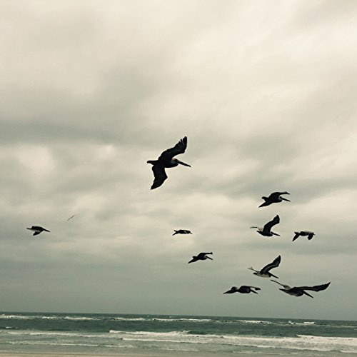In A Moment - Music For Piano And Strings