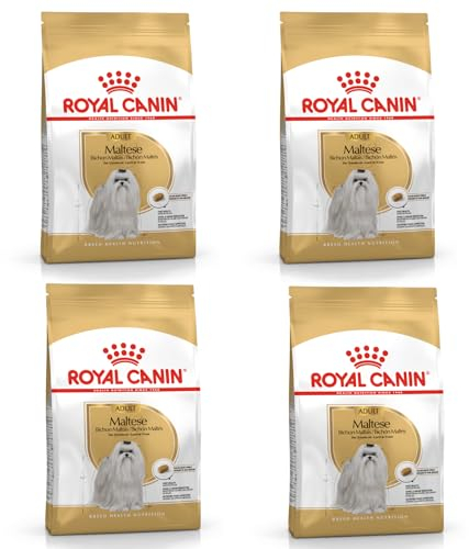Royal Canin Maltese Adult | 4er Pack | 4 x 500 g |Trockenfutter für ausgewachsene Malteser | Zur Unterstützung des Fells und der Verdauung | Für Hunde ab dem 10. Lebensmonat