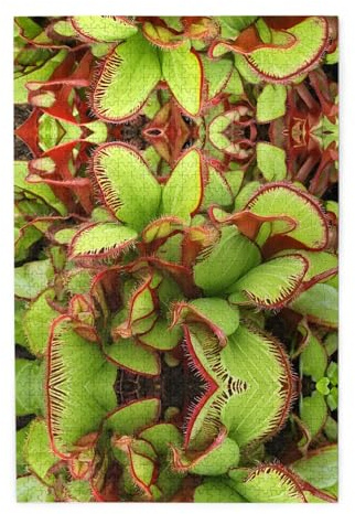 Puzzle de 1000 pièces en bois impossible à encadrer pour adultes et famille - Cadeaux de décoration d'intérieur, plante carnivore