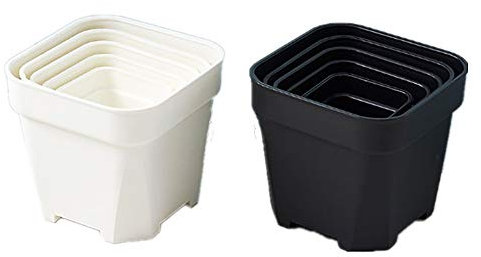 Omenluck - Set di 5 vasi per piante grasse in plastica, per serre e piante, quadrati e piccoli