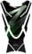 Resin Bike Adesivi Moto Compatibile con Kawasaki Z750 e Z1000 Verde Metal. Protezione Paraserbatoio da Urti e Graffi. Adesivo 3D Resinato per Tutti i Serbatoi Serie Z