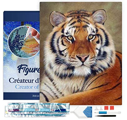 Figured'Art Diamond Painting Erwachsene 40x50cm Mit Rahmen Ganze Leinwand gespannt Tigerauge 5D Bilder Eckige Steine - DIY Set Basteln