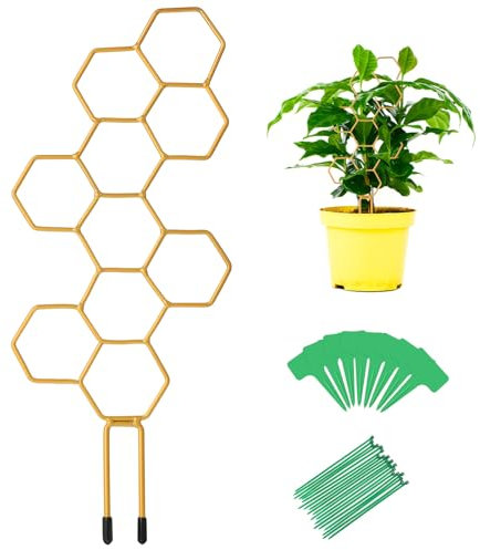 Qianyu Kleines Pflanzen-Rankgitter aus Metall, Topfhalter, Kletterpflanzen-Unterstützung, Wabenform, Starterspalier mit 20 Kabelbindern, 10 Pflanzenetiketten, Gartendekor-Zubehör für