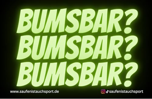100x Bumsbar ? Stickerset/Malle Stickerauswahl/Malle Aufkleber Set/Festival Sticker/Partysticker/Saufsticker/Mallorca/JGA Sticker/Oktoberfest