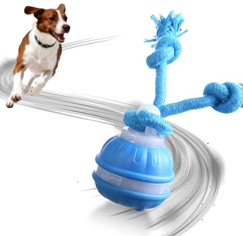 Interaktives Hundespielzeug,Interaktiver Spielball für Hunde,Moving Dog Ball für Hunde,mit LED-Lichtern,wiederaufladbar,Hundeball Elektrisch Intelligentes Hundespielzeug Ball mit Schnur Hund (Blau)