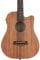 23 Acoustic-Electric Micro Bass with Gold Tone Bag