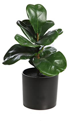 Ficus Lyrata Artificial - Altura 27 cm - Planta Ficus Pandurata - Arbórea Artificial y de Espectaculares Hojas Verdes - Ideal Hogar y Oficina
