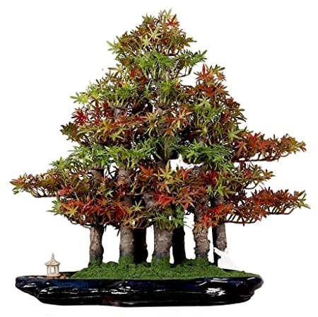 Simulation Topfpflanzen Bonsai Baum Künstliche Tanne Bonsai Simulation Kiefer Zypresse Fake Moos Topf Indoor (A)