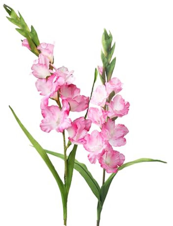 BQEE Lot de 2 fleurs de glaïeul artificielles à longue tige pour décoration de maison/mariage/bureau (rose)