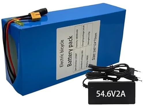 Ebike Akku 48V 48Ah Elektrofahrrad Batterie 48V 48000MAh eingebauter BMS wasserdichter PVC-Akku für 1000W 800W 750W 500W 200W Fahrrad Motor mit 54.6V 2A Ladegerät 48V 38Ah,XT60+DC