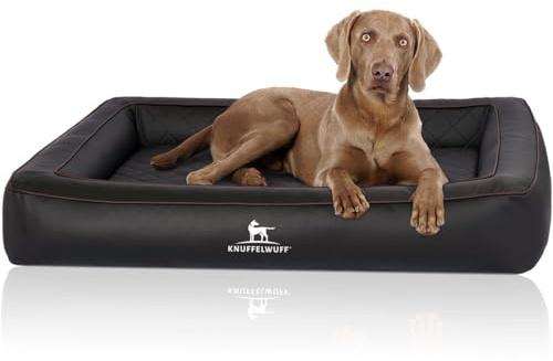 Knuffelwuff Orthopädisches Hundebett aus Laser gestepptem Kunstleder Hampstead S 70 x 50cm Schwarz - Abnehmbarer Bezug - leicht zu reinigen - für große, mittelgroße und kleine Hunde