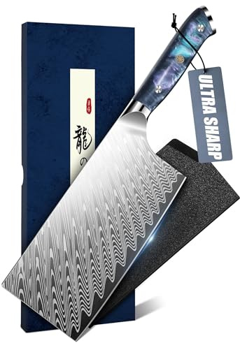 DRAGON RIOT Hackmesser, Scharfes Profi Kochmesser Edelstahl Fleichmesser | Profi Chinesisches Kochmesser mit Ergonomischem Griff für Fleisch, Gemüse, BBQ und Outdoor Camping, Geschenke für Männer