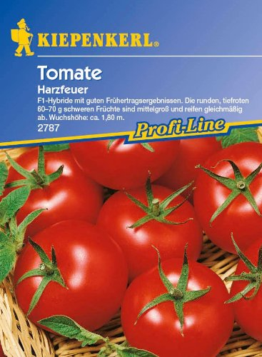 Sämereien Tomaten Harzfeuer PG G