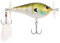 Berkley Spin Bomb Schwimmender Topwater-Köder; Propeller-Köder für Barsch- und Raubfischangler, langsam drehende Propeller für maximale Wasserzerstäubung und realistische Aktion, 6cm, Danald