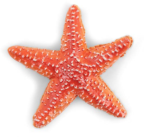 Papo- Seestern das Universum Marin Figur, 56050, Mehrfarbig
