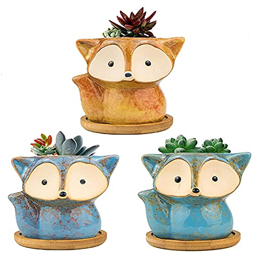 Fayemint 3 Stück Sukkulententöpfe，Sukkulenten Töpfe Keramik，Blumentopf Klein für Mini-Pflanzen，Pflanzgefäße mit Zubehör，Ideal für Heimdekoration