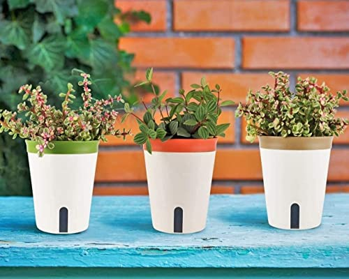 LATERN 3 STK Selbstbewässerung Blumentopf, 16cm Rund Blumentopf aus Kunststoff Bonsai-Töpfe für Gartenblumen für Aloe-Kraut-Sukkulenten - mit Wasserstandsfenster und Ablaufloch Verstecktes Tablett