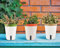 LATERN 3Pz Vaso per Fioriera Autoirrigante, 14,5CM Rotondo Vaso per Piante In Plastica Vasi per Fiori da Giardino - Con Finestra del Livello Dell'acqua e Vassoio Nascosto con Foro di Drenaggio