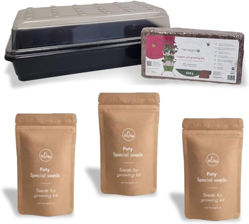 Hexagro - Aromatische Mischung Anbau-Set | Mini-Gewächshaus für aromatische Pflanzen und 650g Kokos-Substrat für die Keimung | 3 Samenpakete Kit von Petersilie, Salbei und Basilikum