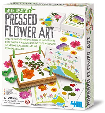 4M 00-04567 Conserva con Arte i Tuoi Fiori, Kit Fai da te di Arte Floreale e Artigianato, Giocattolo Creativo Artistico, Pressa per Fiori, Conservazione Piante