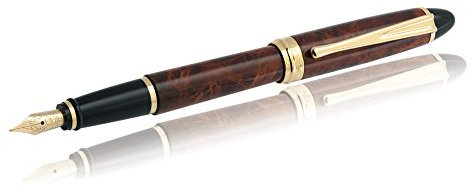 Aurora Ipsilon Fountain Pen, Brown marbled tortoise, Gold trim, B13T - B
