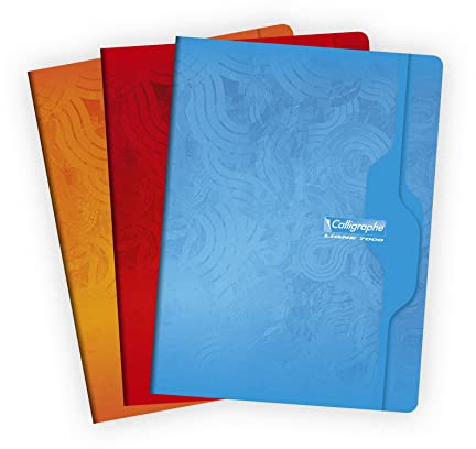 Calligraphe Clairefontaine 7490C - Packung mit 10 Heften Calligraphe geheftet, DIN A4+ 24 x 32 cm, blanko, 48 Blatt, 70 g, farbig sortiert, 1 Pack