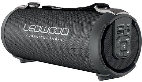 Ledwood Enceinte Bluetooth Access 100W Portable avec Sangle - Haut-Parleur sans Fil - Port USB - Carte MicroSD - Radio FM TWS