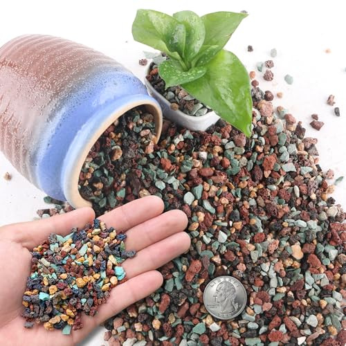 CHEOAR 8.2 kg (18lb) Misch Lava Steine für Pflanzen in Tür - 3-6mm Steine Garten für Bonsai saftige Kaktus Töpfen Boden und Vase Füller, Fee Gartenarbeit, Top Dressing