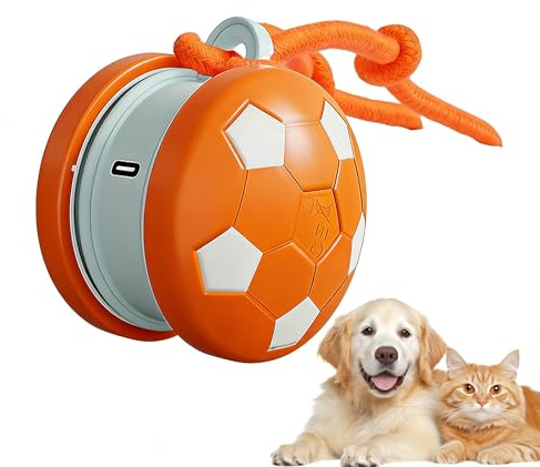 Jiwyunlu Katzenbälle | Automatischer Rollball Für Haustiere - Wiederaufladbares Bereicherungsspielzeug Mit Schwanzseil,Für Indoor Spiel Und Bewegung Zur Bereicherung Und Zur Linderung Von Langeweile