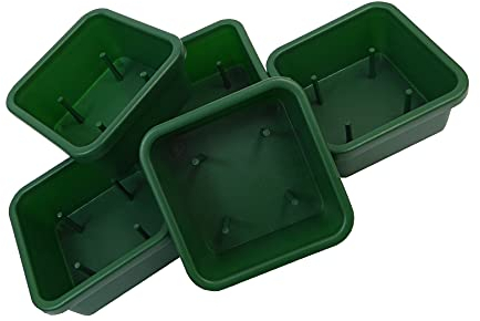 60 cuenco Mini trébol verde con puntas para esponja