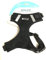 Petlando Brustgeschirr Mesh Vest schwarz M (Halsumfang 32-37 cm, Brustumfang 41-53 cm)