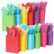 Cootato 24 Stück Geschenktaschen mit 24 Taschentüchern, 6 Farben Party Favor Taschen mit Griffen, Regenbogen-Geschenktüten aus Kraftpapier für Geburtstag Hochzeit Babyparty, Weihnachten