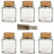 6 Gewürzgläser/Vorratsdosen/Glasdosen mit Korkverschluss für Gewürze, Salz, Kräuter, etc. ca. 200 ml - inkl. einer Gewürzschaufel aus Holz 7,5 cm