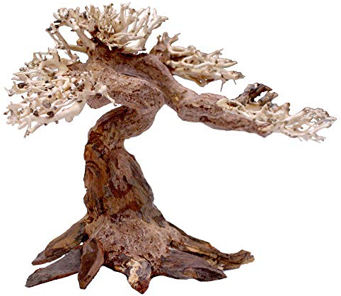 Amtra - Oriental Wind 5 Holz, handgefertigt, für Aquarien, 25x10x18 cm, Small