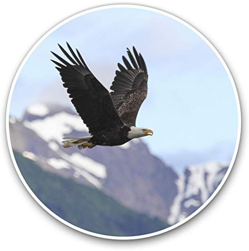 2 x Herz Aufkleber 10 cm – Glatzenadler Vogel Amerika USA Fun Decals für Laptops, Tablets, Gepäck, Sammelalben, Kühlschränke #14245