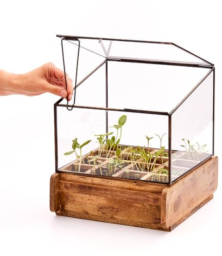 Die Stadtgärtner Invernadero moderno como decoración, para cultivo y hierbas, de vidrio, madera reciclada y metal, 31 x 26 x 29 cm