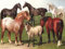 New York Puzzle Company Horse Breeds (1000 pcs)