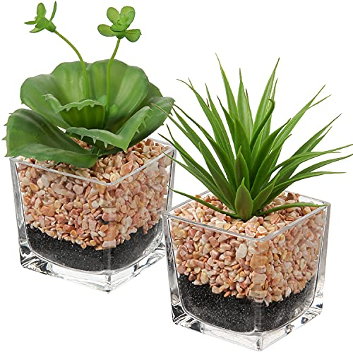 Lot de 2 plantes succulentes artificielles artificielles comme de vraies dans un pot en verre pour salon, balcon, chambre à coucher, salle de bain, décoration de table