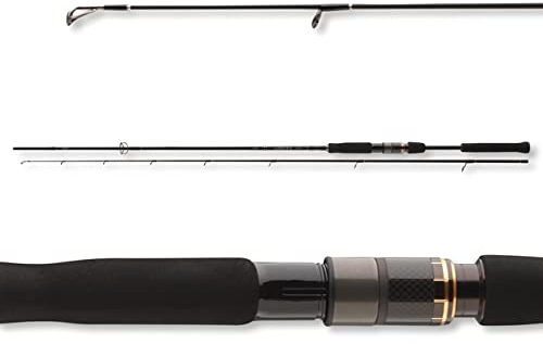 Daiwa Airity Jigger 2.70m 8-35g Spinnrute